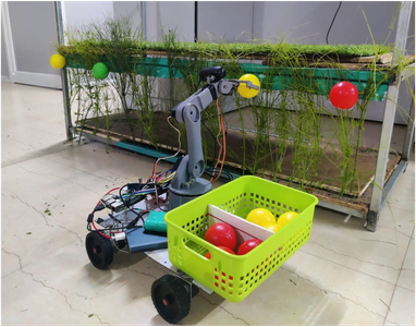 Design and Implementation of Autonomous Fruit Plucking and Segregation Robot in Vertical Farming