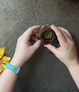 Make the Wire Dreamcatcher Frame