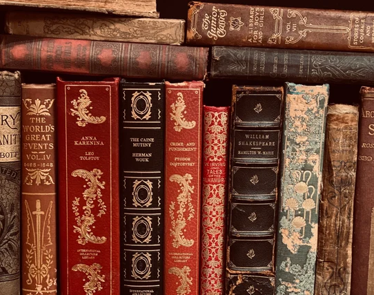 Smart Book Genre Identifier: Classify Books by Their Covers Using AI