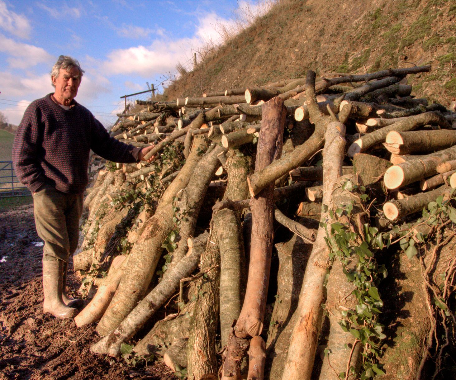 Wood Fuel From Hedges - With John Whetman