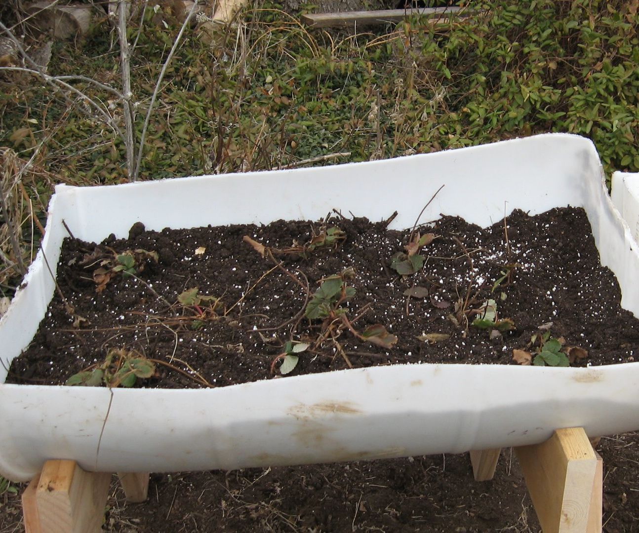 Raised Bed Barrel Garden