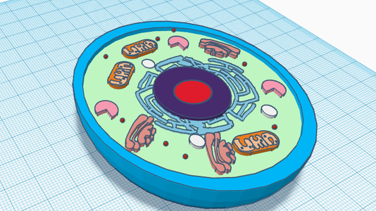 3d Model Animal Cell for the Classroom : 3 Steps (with Pictures ...