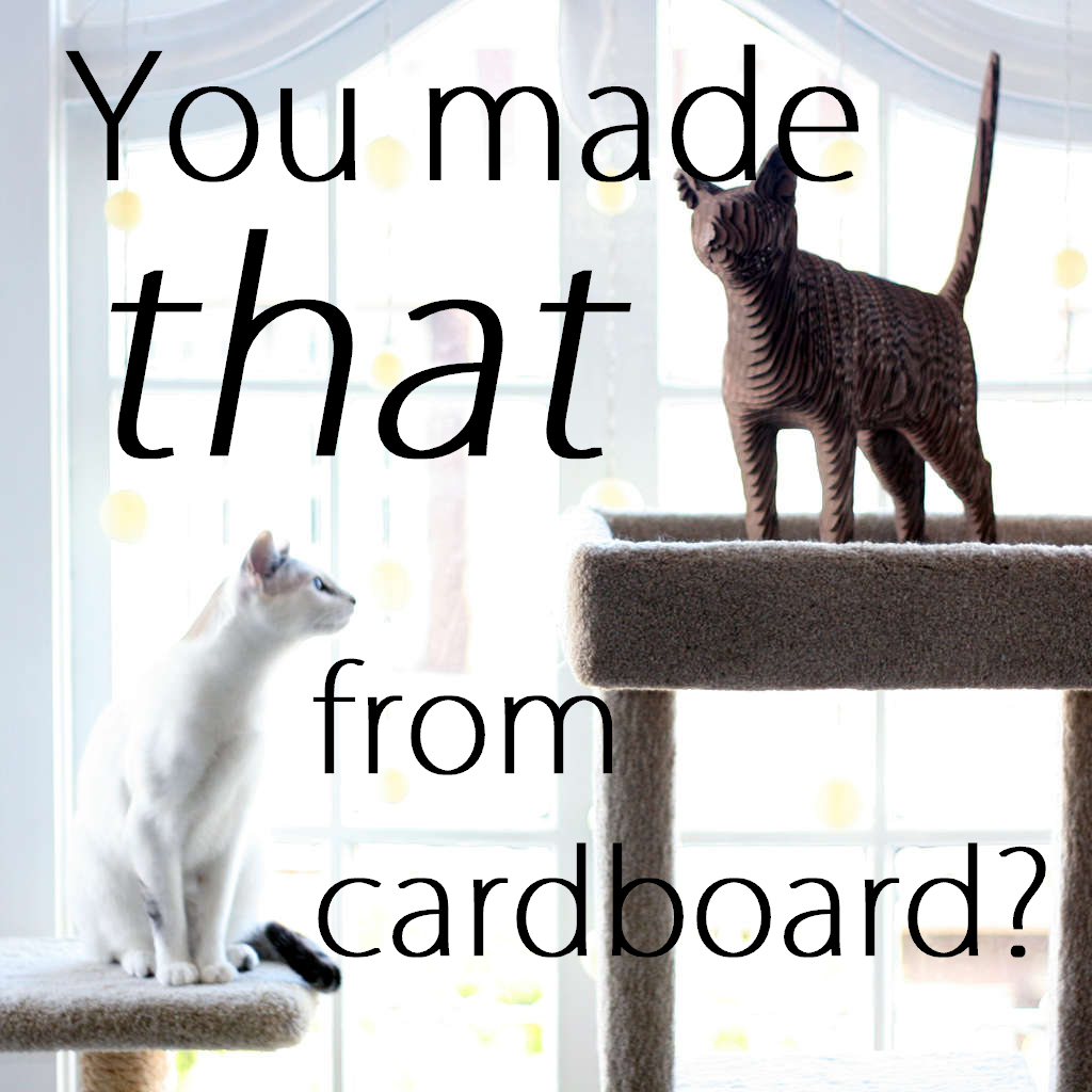 You Made That From Cardboard?