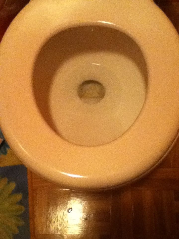 Toilet Prank