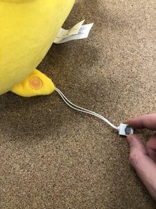 Prepare the Toy for Adapting