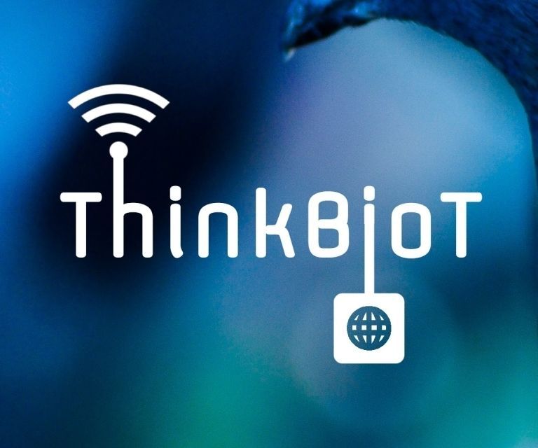 Part 2. ThinkBioT Model With Google AutoML