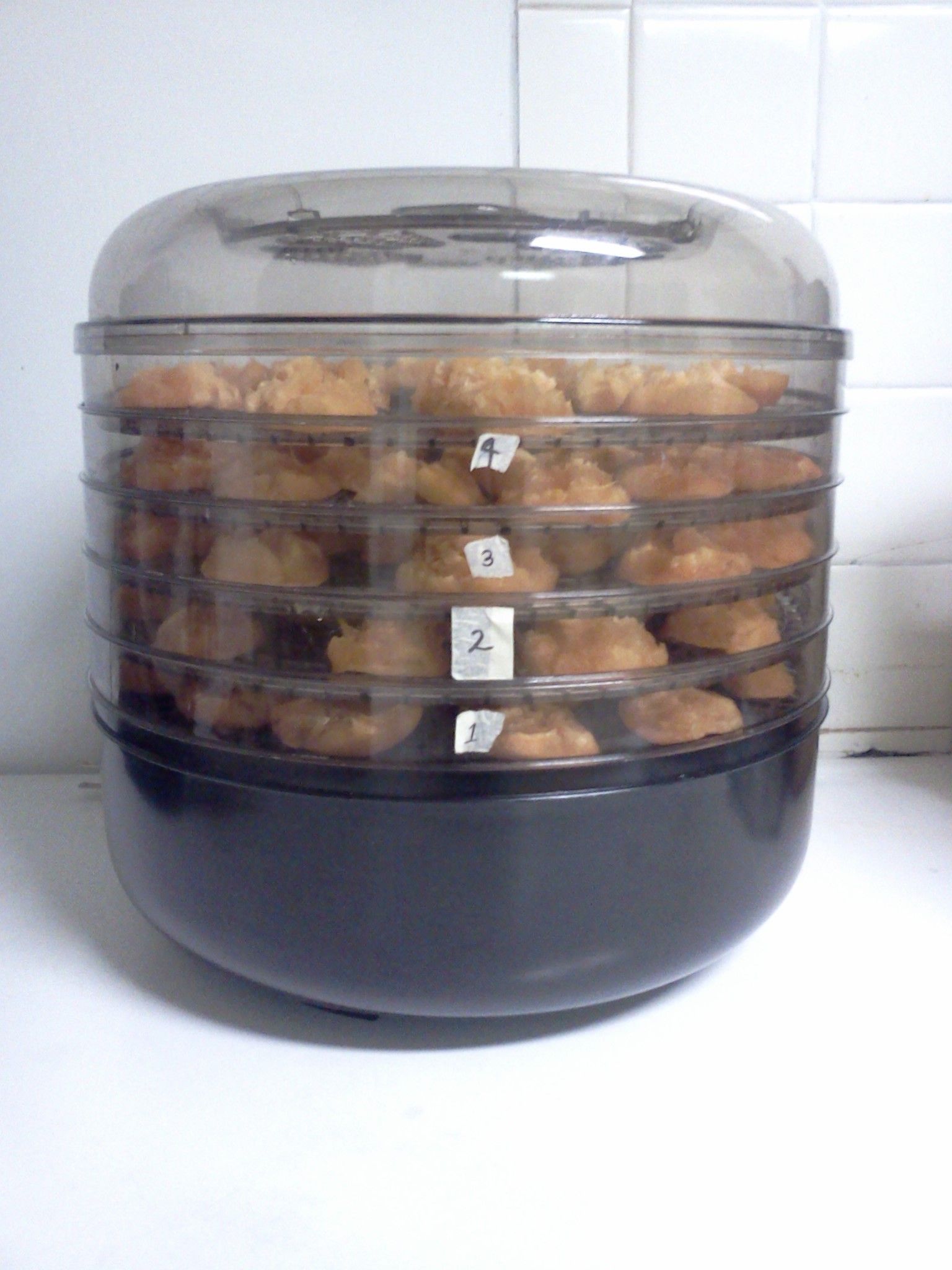 Dehydrating Apricots 4 Steps (with Pictures) Instructables