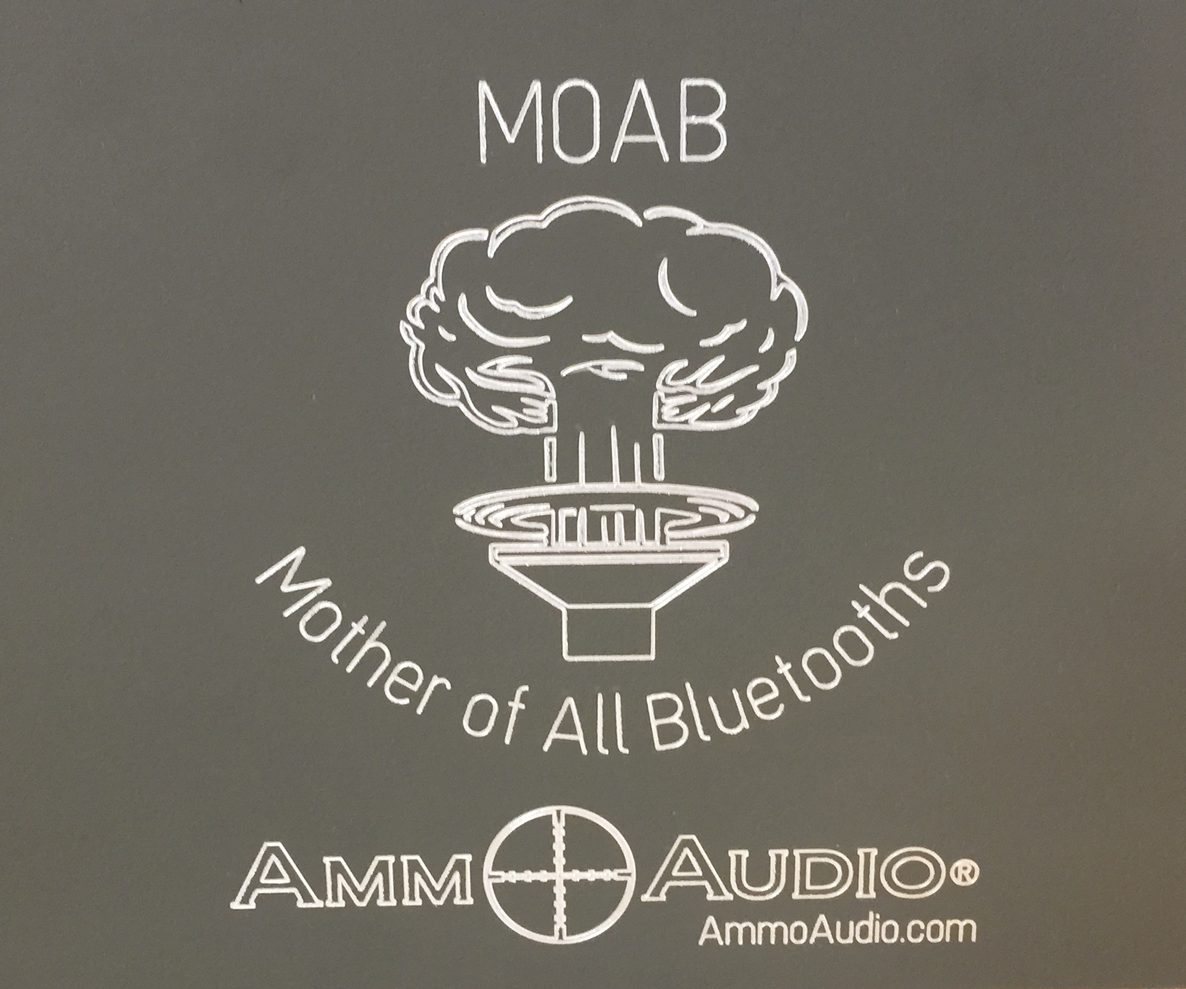 Ammo Can Speaker Insanity: The MOAB