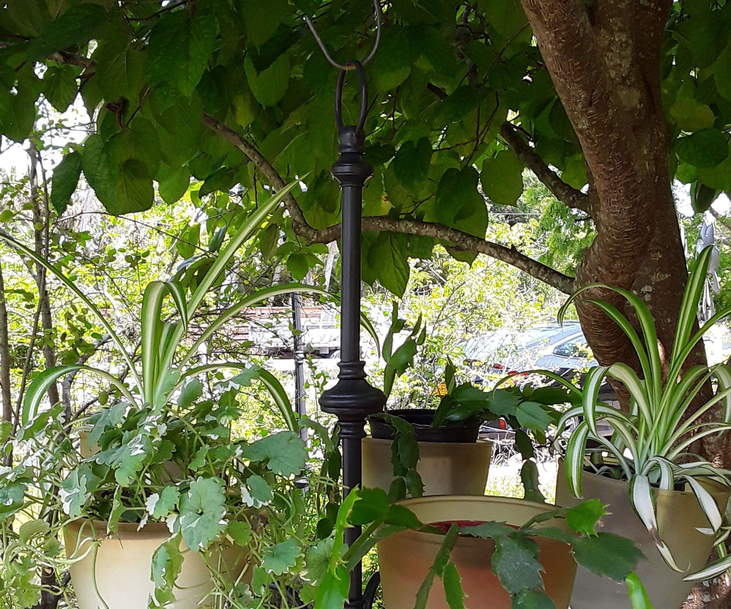 Hanging Light Planter