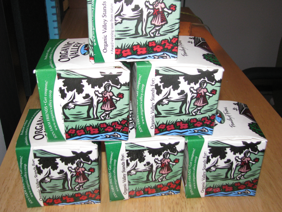 Container From Recycled Milk Carton