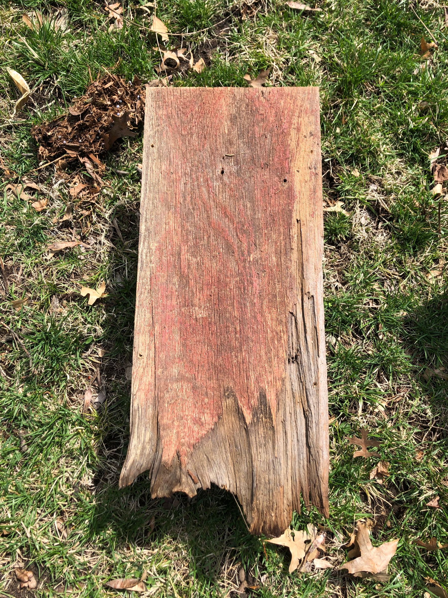 How to Attach a Birdhouse to a Tree Without Harming the Tree 4 Steps