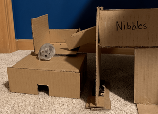 Diy hamster house cardboard hot sale