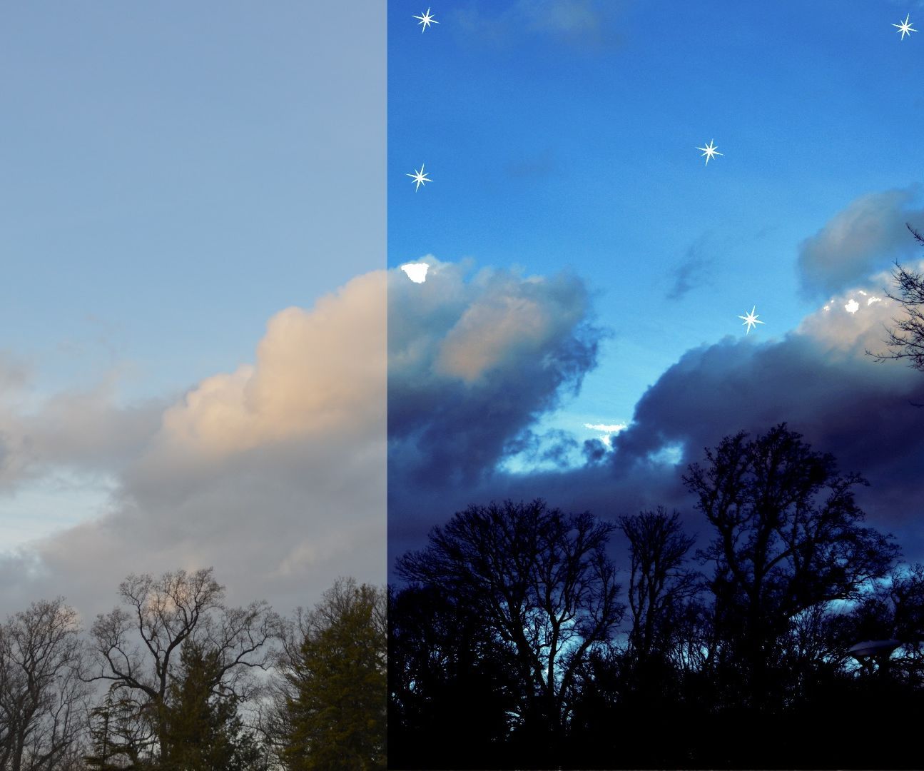 How to Create Digital Art Photography 5