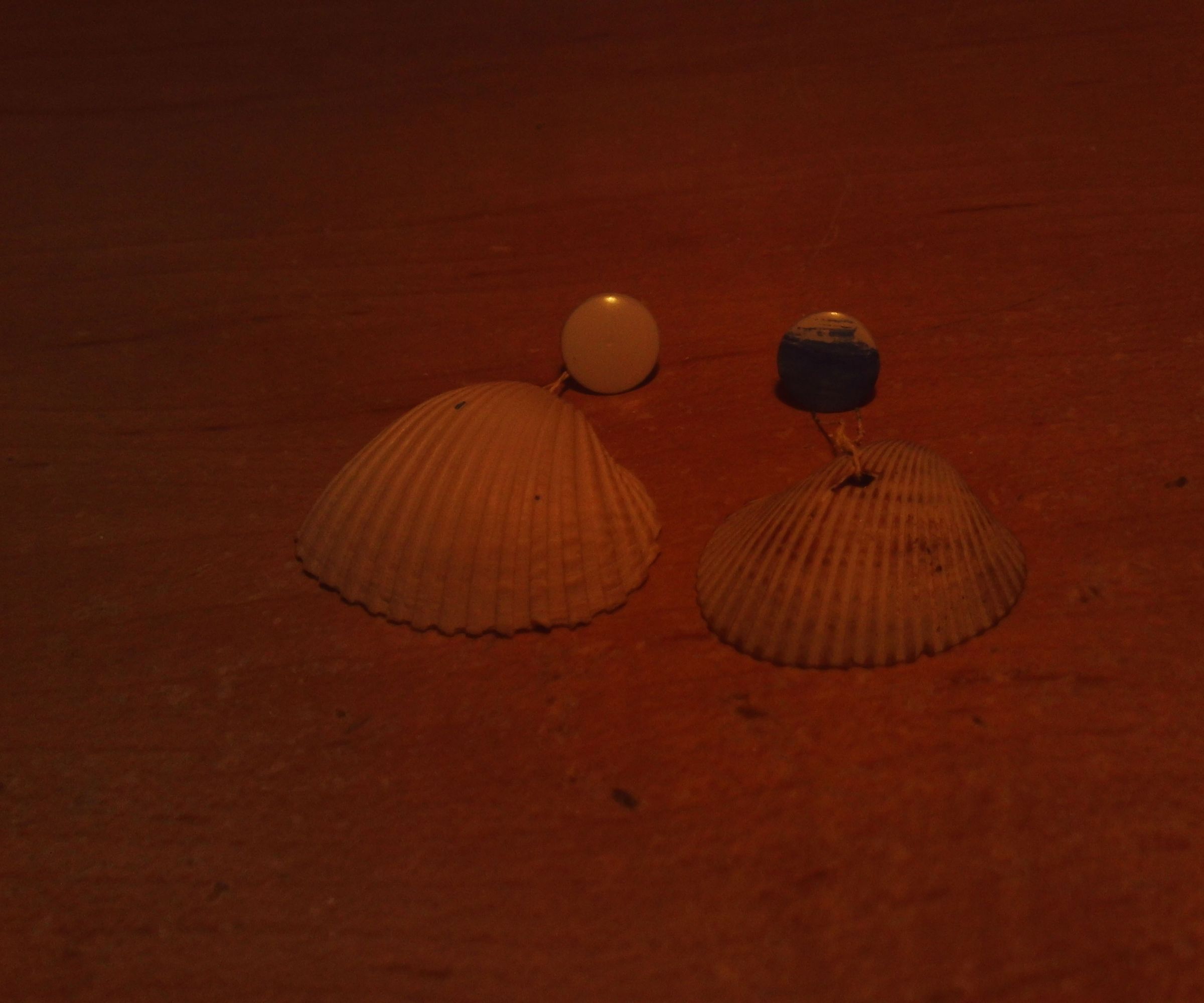 Homemade Seashell Piercing