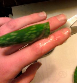 How to Treat a MINOR Burn With an Aloe Vera Plant! : 4 Steps - Instructables