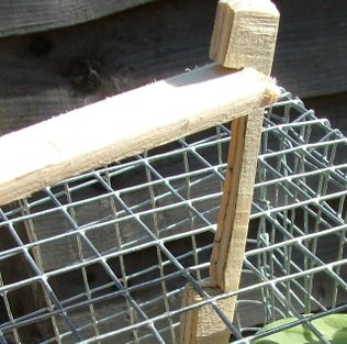 Making A Really Simple Rabbit Trap 6 Steps Instructables 