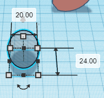 Starting With the Anatomy