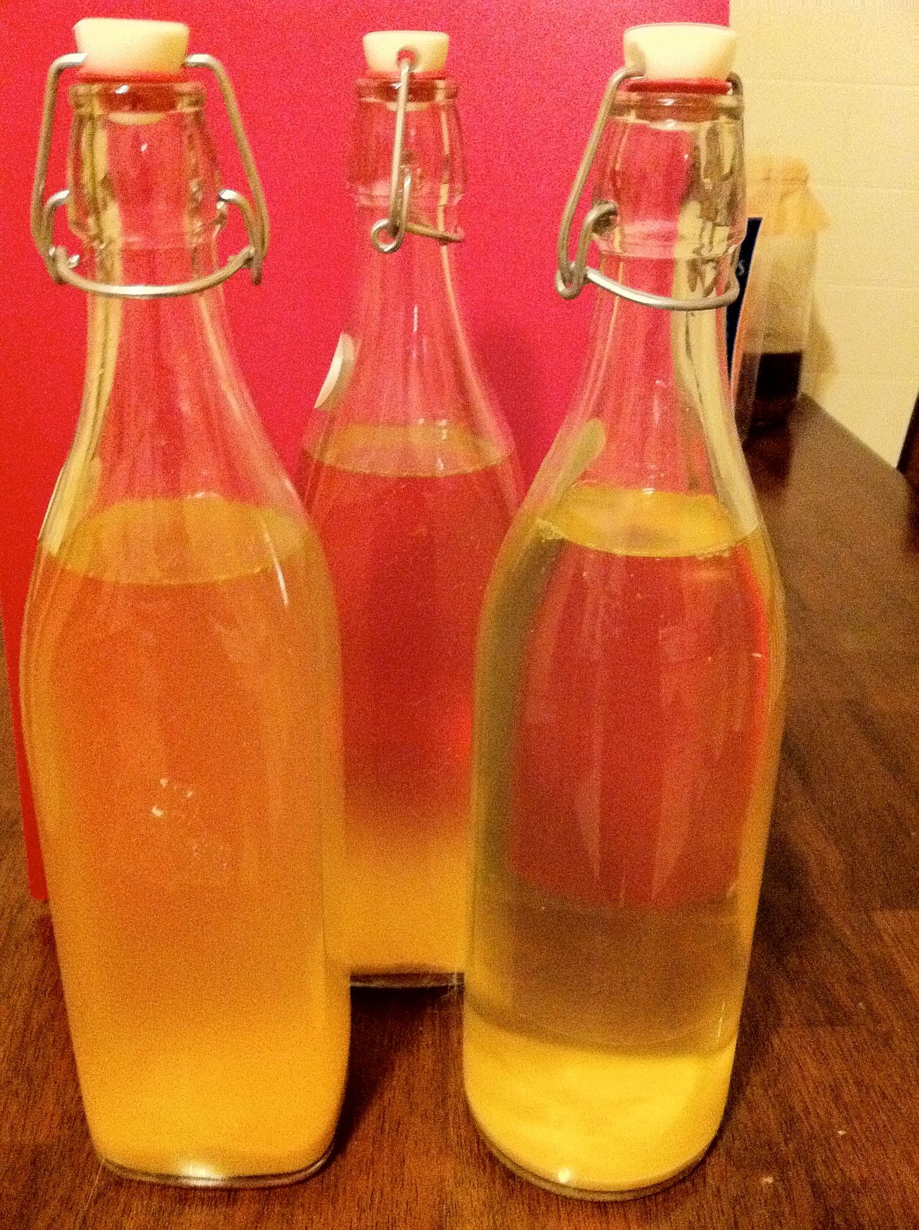 Making a Probiotic Ginger Beer