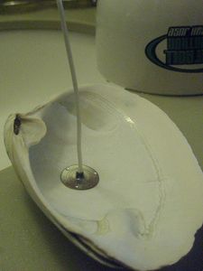How to Make Shell Candles : 6 Steps (with Pictures) - Instructables