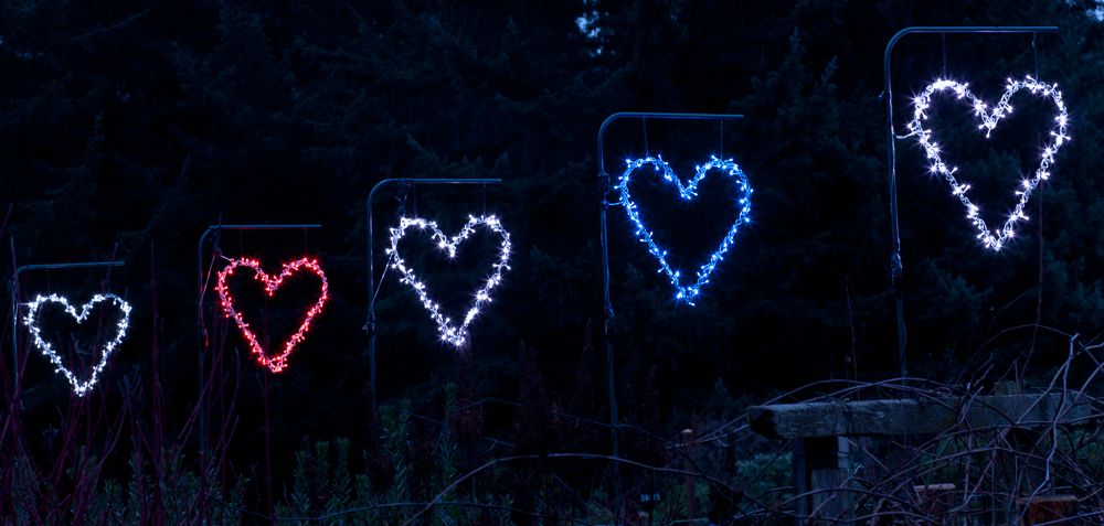 February Memory Hearts
