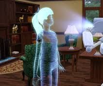 Set Up Your Place for Sims Character