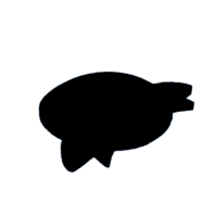 download {{ file.name }}