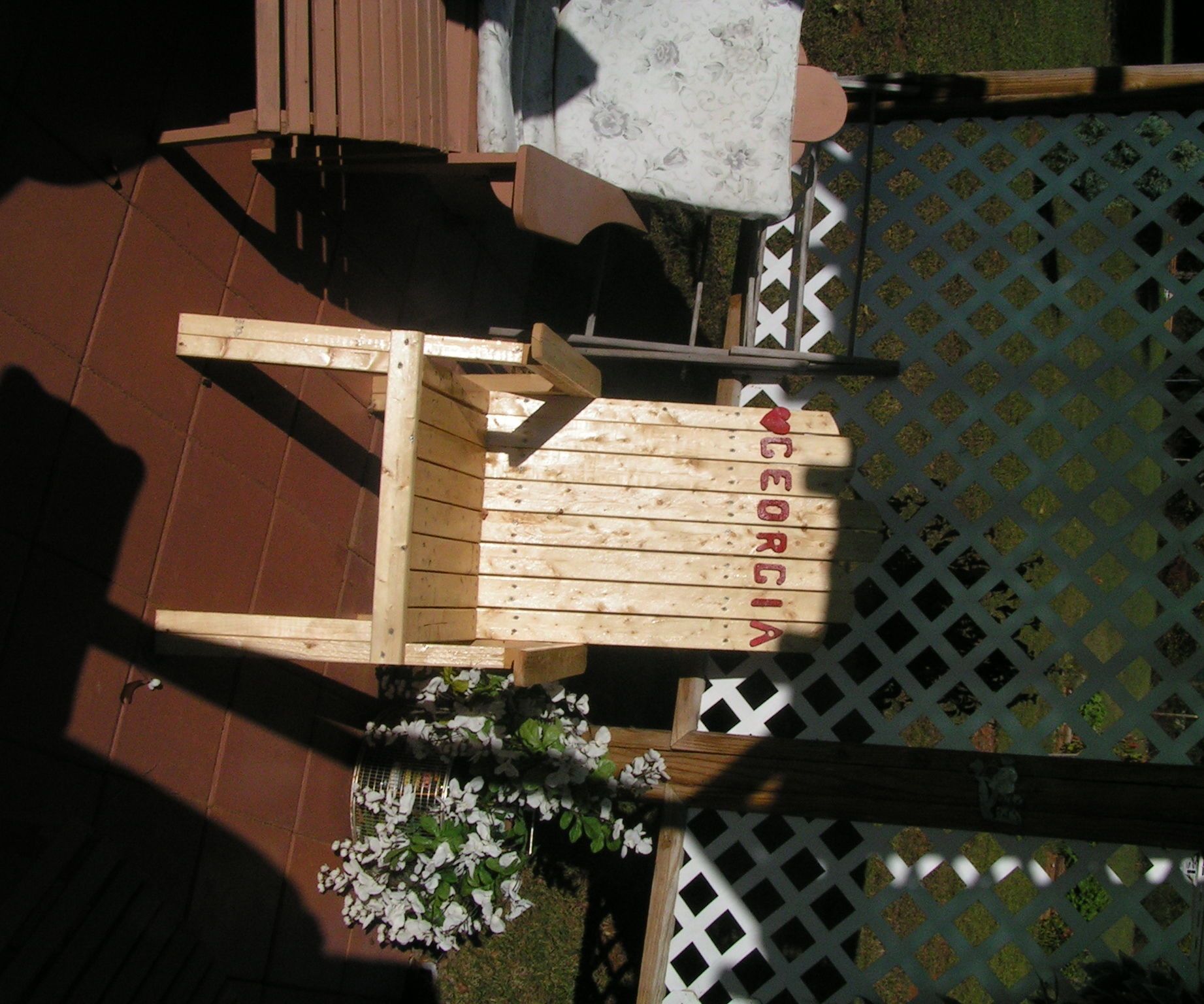 HARRY DAWG CHAIR  