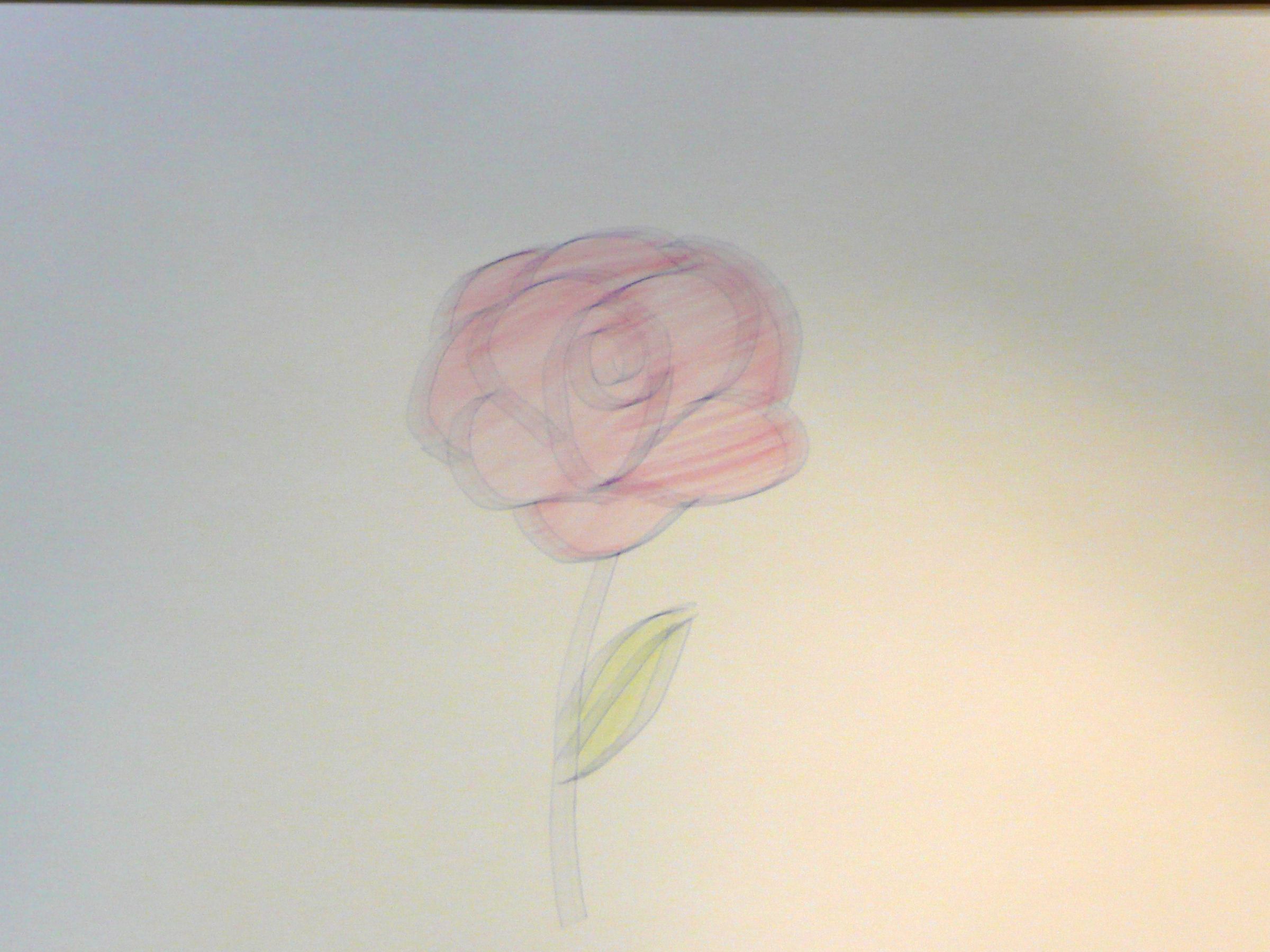 How to Draw a Rose