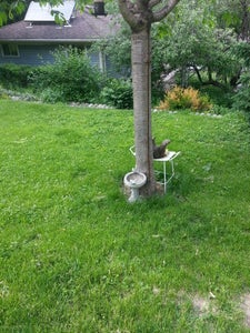 Add Tow Ropes to Trees