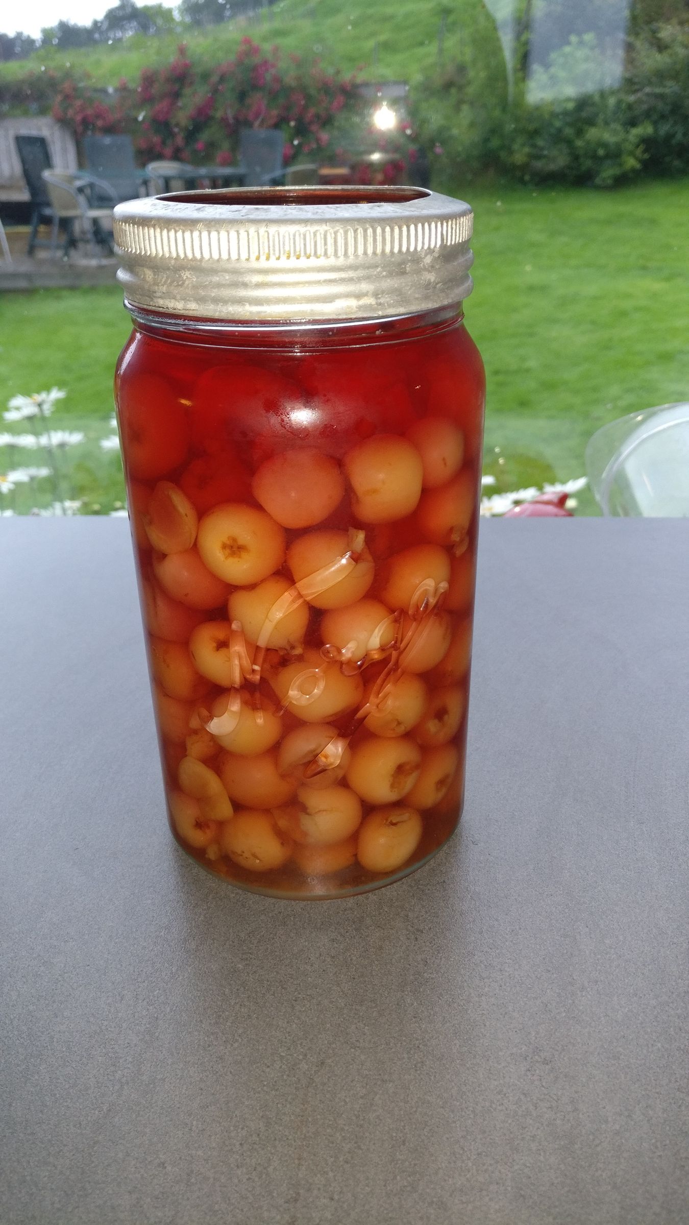 Canned Sweet Cherries