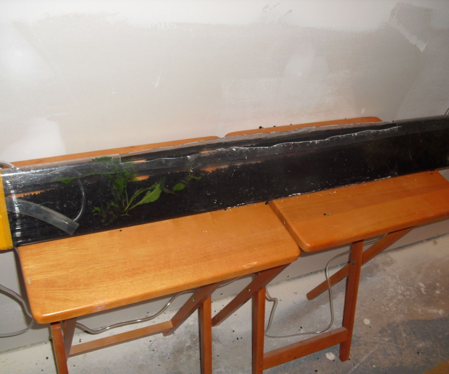 Up-cycled Shrimp Tank With Filter