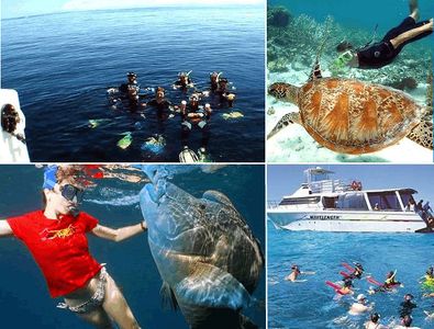 Enjoy Vacations at Port Douglas
