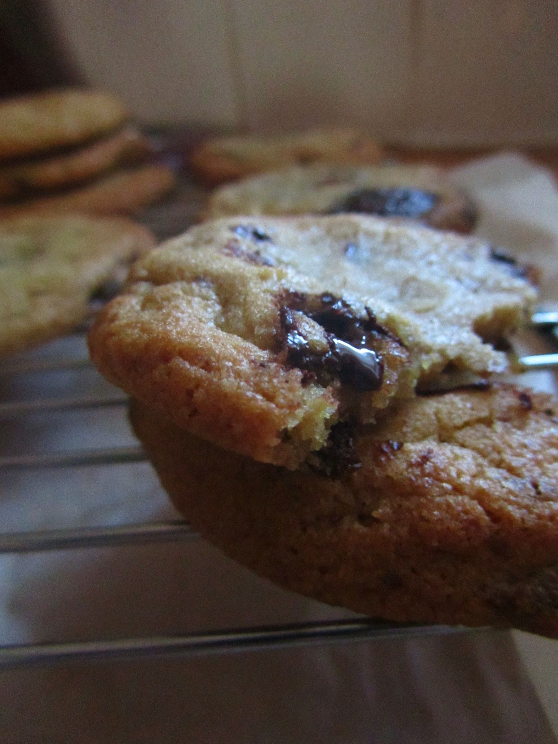 Triple Chocolate Chip Cookies
