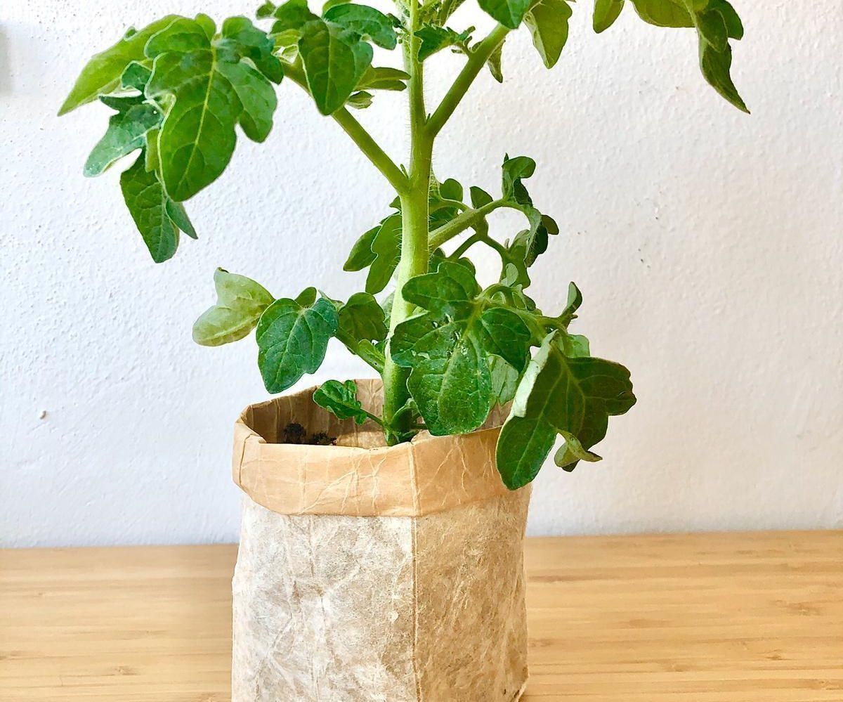 Universal Tetra Pak Bag