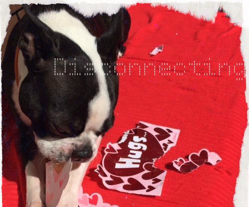 How to Disconnect From a Stalker Ex