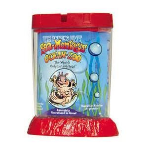 Sea Monkeys