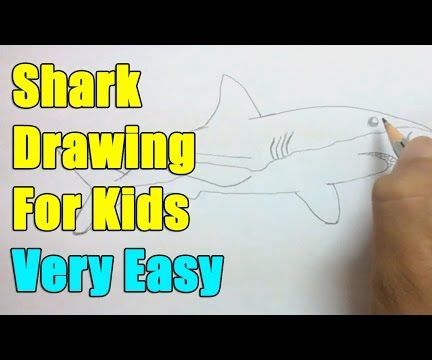 How to Draw a Shark