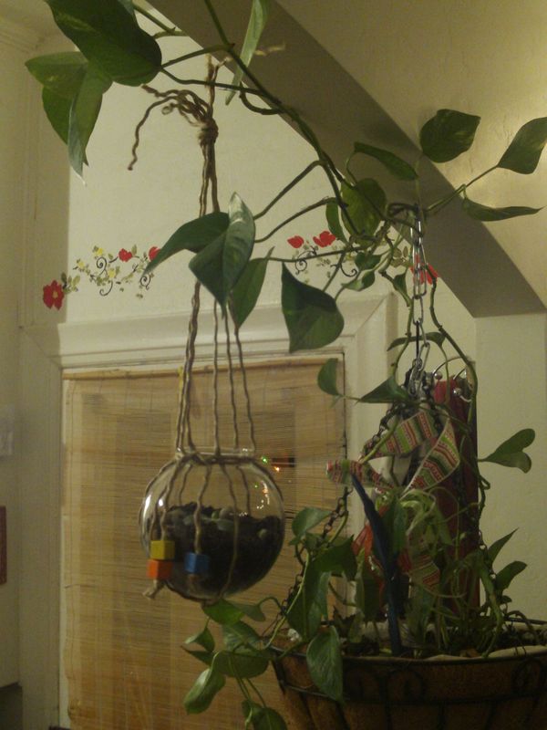 Homemade Terrarium