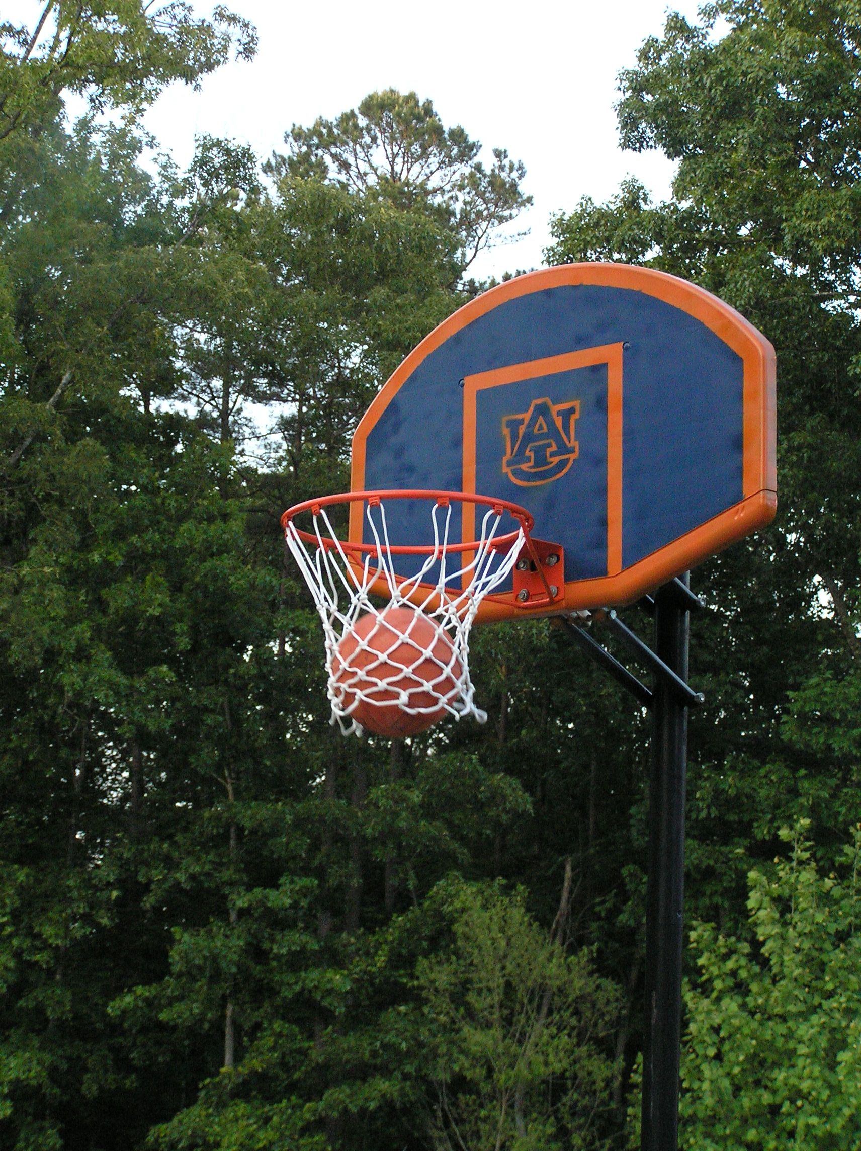 Paint Your Own Basketball Goal 11 Steps Instructables