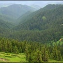 Independence Project-- The CommonGround Network