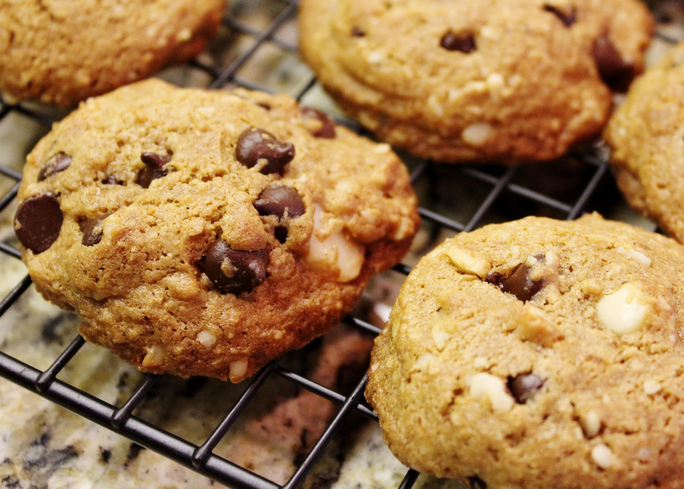 Gluten Free Bittersweet Chocolate Macadamia Nut Cookies (with Pictures