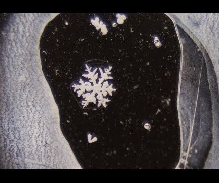 How to Preserve a Snowflake Forever!