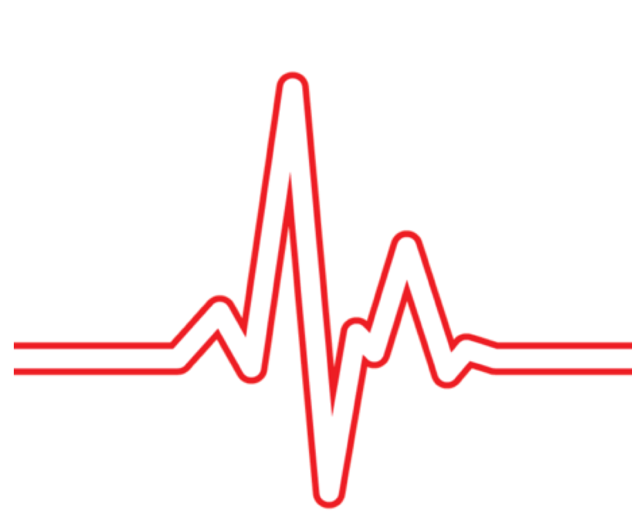 ECG and Heart Rate Monitor