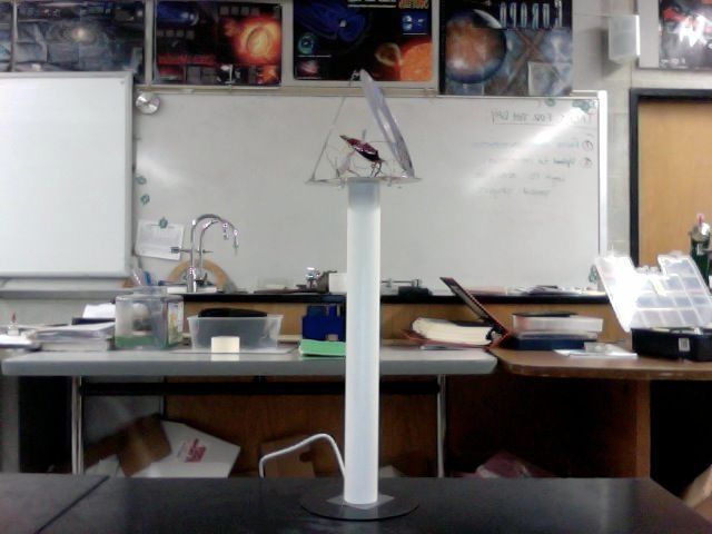 Old School LED CD Lamp