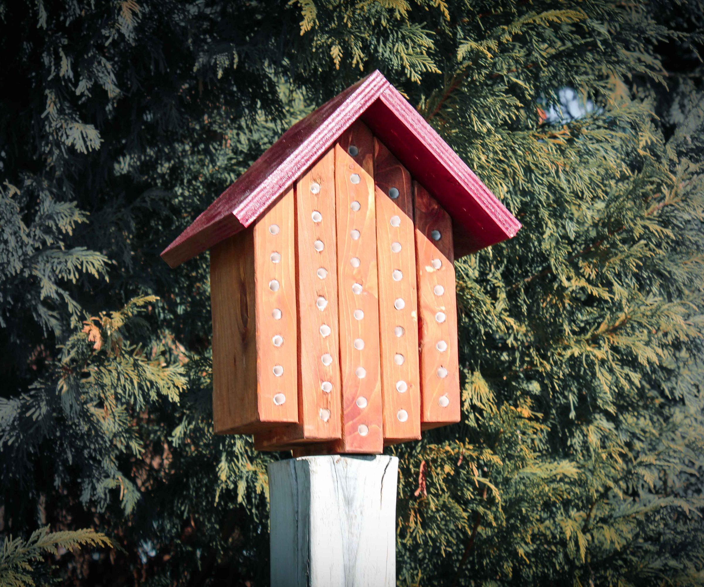 Mason Bee House