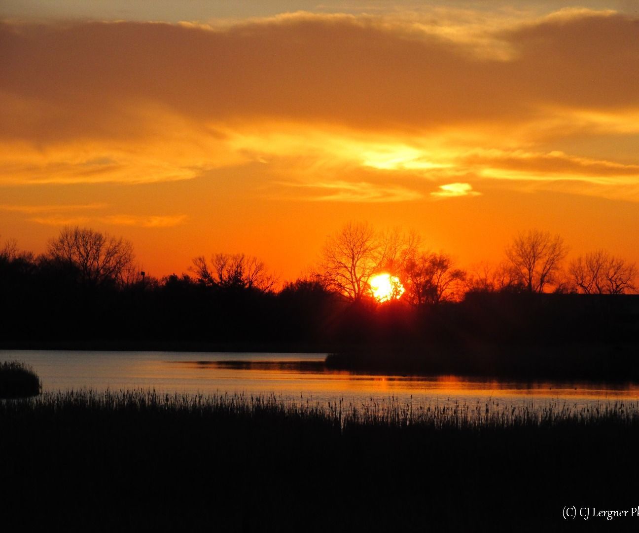 Beautiful Photography @CJ Lergner