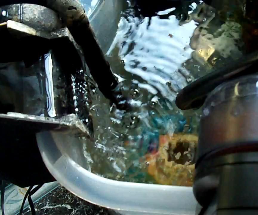 Simple Indoor Aquaponics System