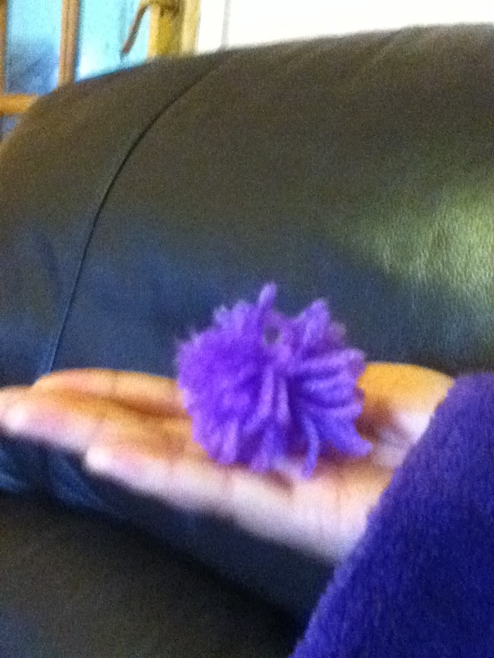 Homemade Pom Pom