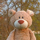 Tedd'scherB