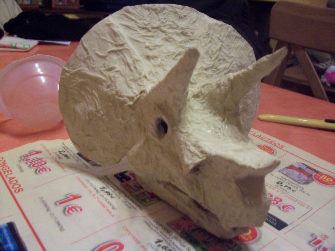 My Own Triceratops' Skull